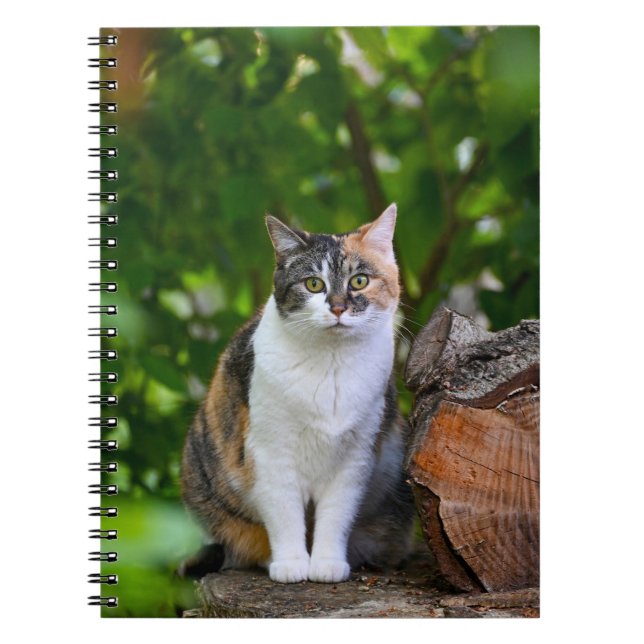 Caderno Espiral O Gato (Frente)