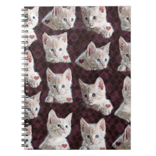 Caderno Espiral O gato do gatinho enfrenta o teste padrão com