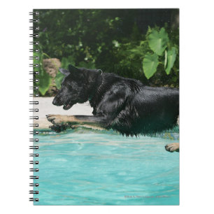 Caderno Espiral O german shepherd que salta na água