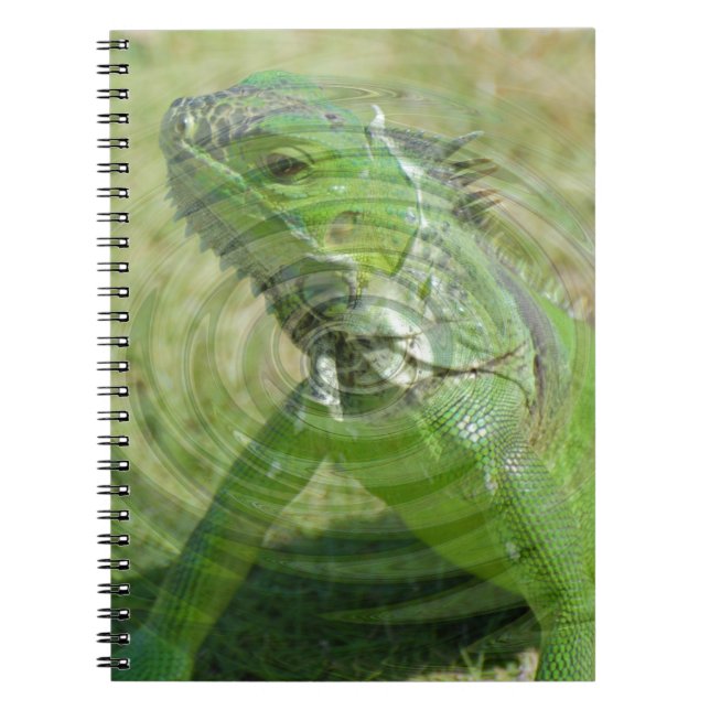 Caderno Espiral O Iguana Verde (Frente)