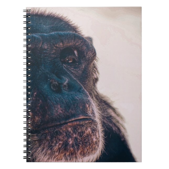 CADERNO ESPIRAL O MAIS ANTIGO CHIMPANZÉ (Frente)