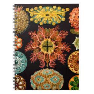 Caderno Espiral O mar esguincha o quadrado