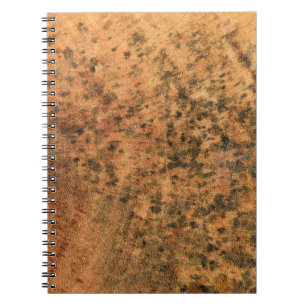 Caderno Espiral O molde que cresce na superfície da madeira marrom
