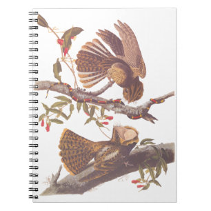 Caderno Espiral O Pesadelo Viúvo de Chuck Will com Cobra de Coral