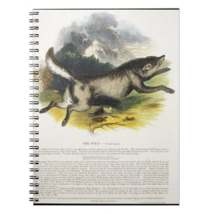 Caderno Espiral O plutônio educacional da ilustração do lobo