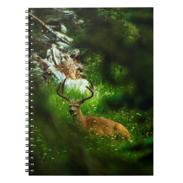 Caderno Espiral O Príncipe da Floresta (Frente)