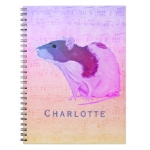 O rato cor-de-rosa do animal de estimação adiciona