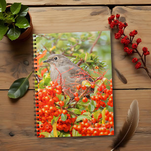 Caderno Espiral O Solitário de Townsend no Pyracantha