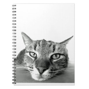 Caderno Espiral Observação do gato