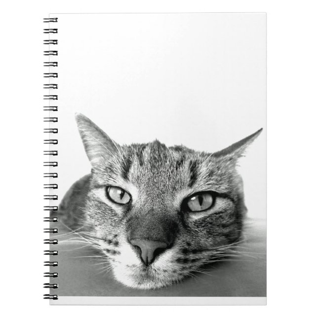 Caderno Espiral Observando Gato (Frente)