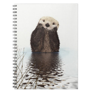Caderno Espiral Óbvia sorridente no lago