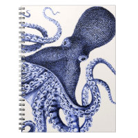 Octopus Azul Paisagem