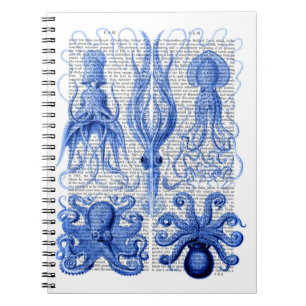 Caderno Espiral Octopus e Lula Azul