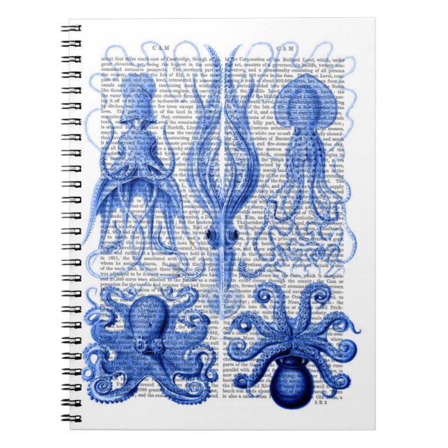 Caderno Espiral Octopus e Lula Azul (Frente)