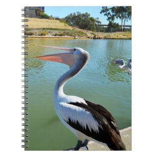 Caderno Espiral Oh, Sou Um Feliz Pelicano Tra Lah, Notebook