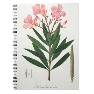 Caderno Espiral Oleander de "Phytographie Medicale" pelo Ro de