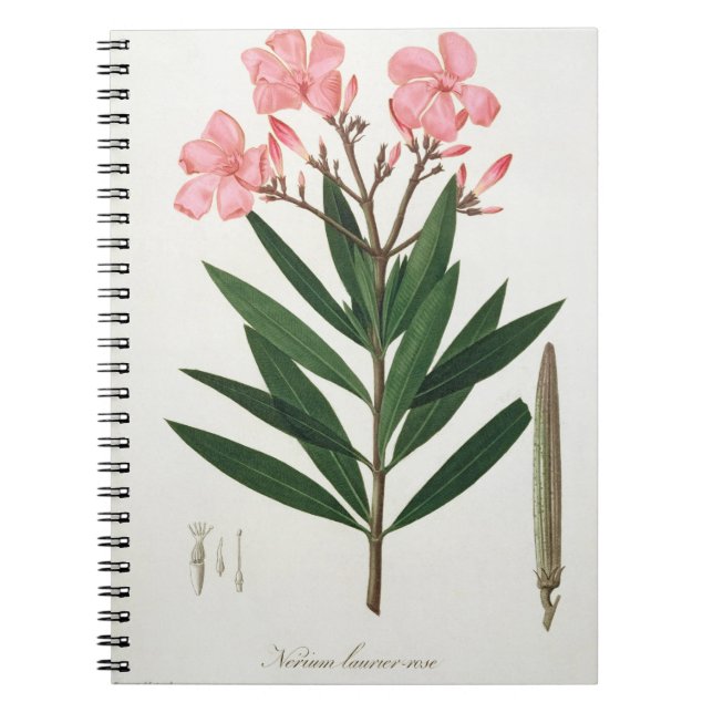 Caderno Espiral Oleander de "Phytographie Medicale" pelo Ro de (Frente)