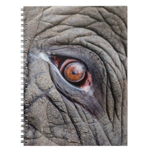 Caderno Espiral Olho de elefante animal fechado