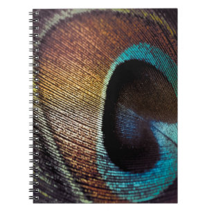 Caderno Espiral Olho Pêssego de Matizes Antigos