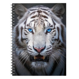 Caderno Espiral Olhos Azuis Brancos