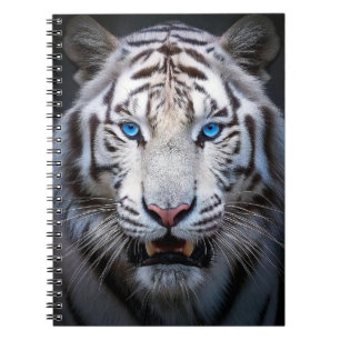 Caderno Espiral Olhos Azuis Brancos