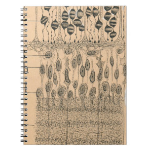 Caderno Espiral Olhos De Desenho Celular Retina Santiago Ramon Y C
