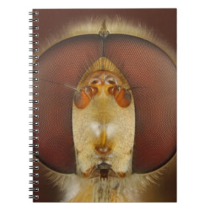 Caderno Espiral Olhos principais e compostos de uma mosca do pairo