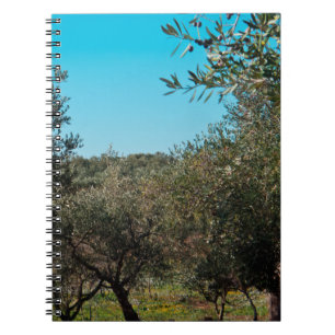 Caderno Espiral Oliveiras na paisagem apuliana no outono. ag