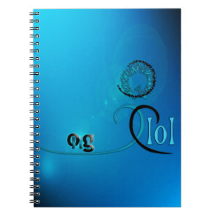 Caderno Espiral OMG! lol