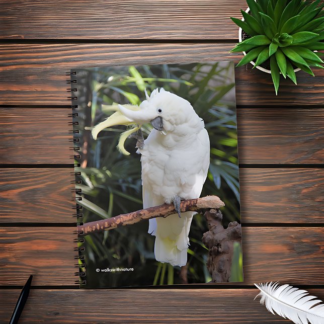 Caderno Espiral Ondas de Cockatoo Penteadas com Enxofre no Fotógra (Friendly Sulfur-Crested Cockatoo Waves at the Photographer Journal Cover Photo)