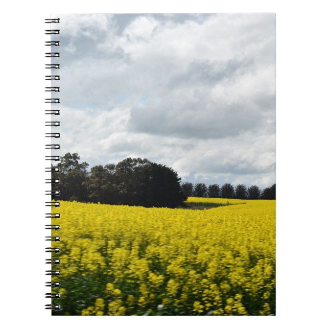 Caderno Espiral Ondas Douradas de Streatham (Frente)