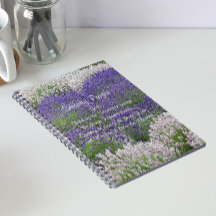 Oração de Serenidade Inspiradora Jardim de Lavanda