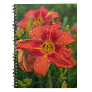 Caderno Espiral Orange Lily