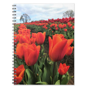 Caderno Espiral Orange Tulips in a Field, Oregon