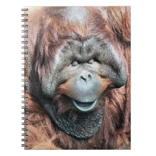CADERNO ESPIRAL ORANGUTANOS