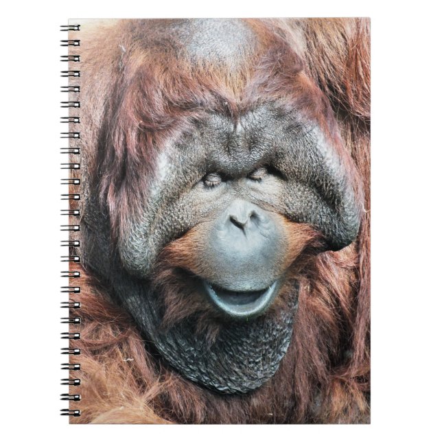 CADERNO ESPIRAL ORANGUTANOS (Frente)