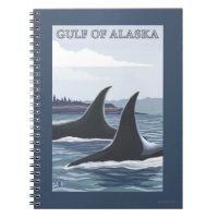 Orca Whales #1 - Golfo do Alasca