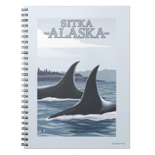 Caderno Espiral Orca Whales #1 - Sitka, Alasca