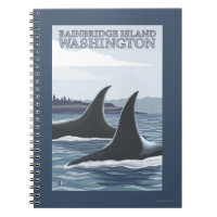 Orca Whales nº 1 - Ilha de Bainbridge, Washington