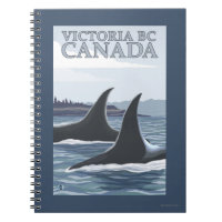 Orca Whales nº 1 - Victoria, BC Canadá