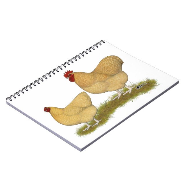 Caderno Espiral Orpingtons Lemon Cuckoo (Left Side)