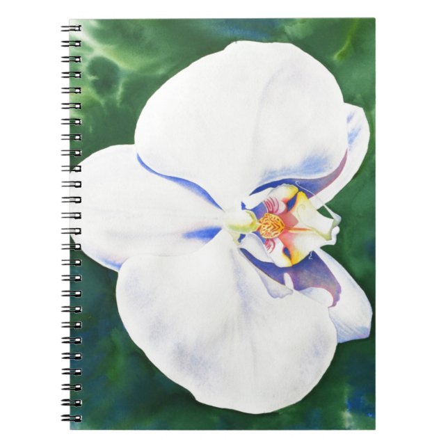 Caderno Espiral Orquídea branca (Frente)