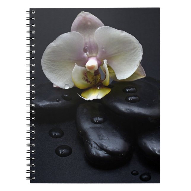 Caderno Espiral Orquídea Branca Sobre Pedras Pretas (Frente)
