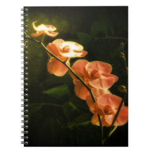 Caderno Espiral Orquídea Laranja