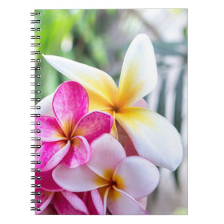 Caderno Espiral Orquídea, livro de receitas opal da cozinha das fl
