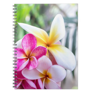 Caderno Espiral orquídea, livro de receitas opal    da cozinha do