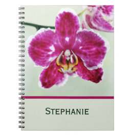 Caderno Espiral Orquídea Rosa