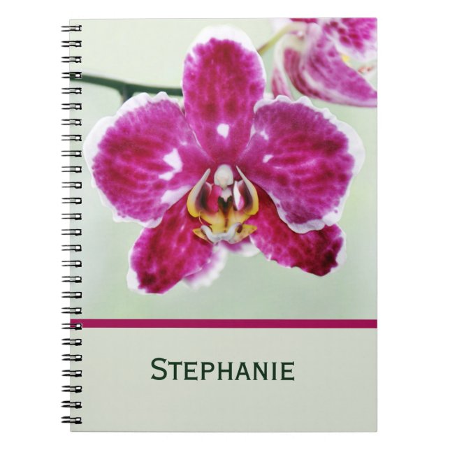 Caderno Espiral Orquídea Rosa (Frente)