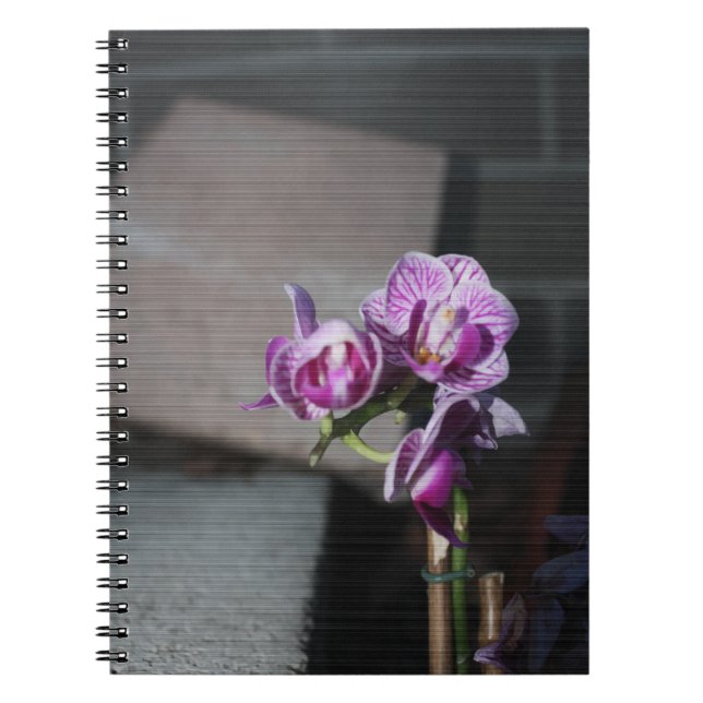 Caderno Espiral Orquídea Roxa (Frente)