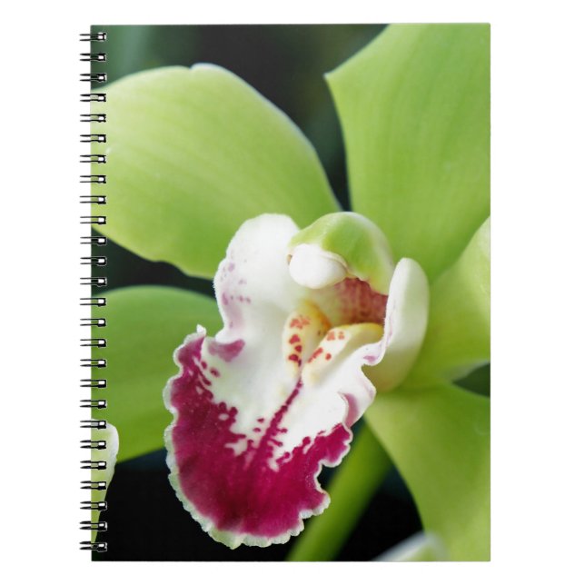 Caderno Espiral Orquídea Verde (Frente)